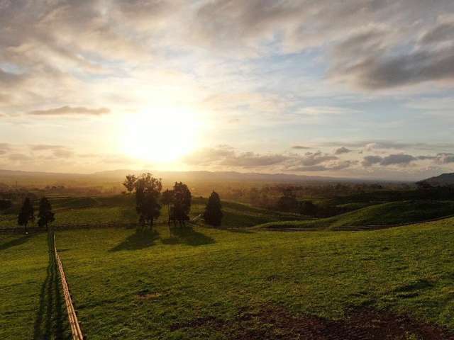 Lot 4, 151 Hill Road Te Aroha_2