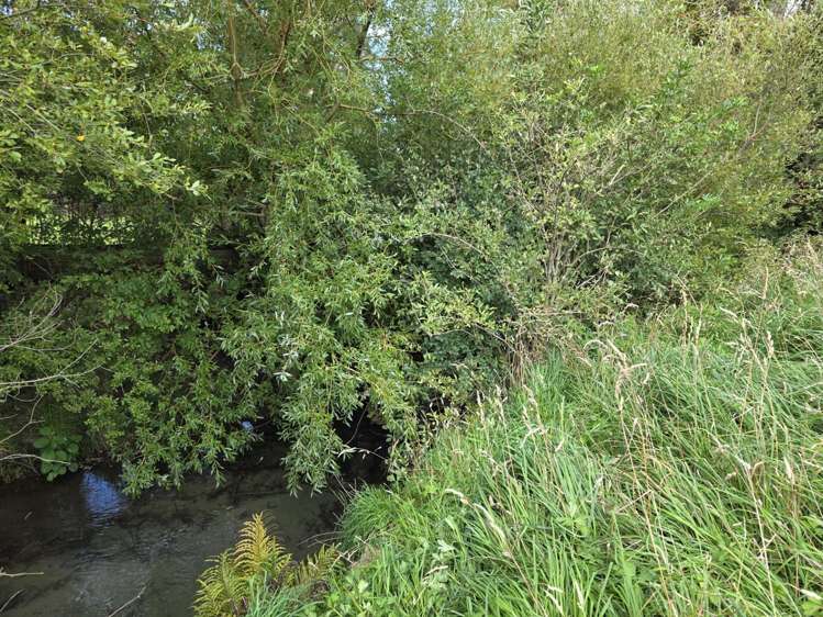 16 Northbrook Road Rangiora_7