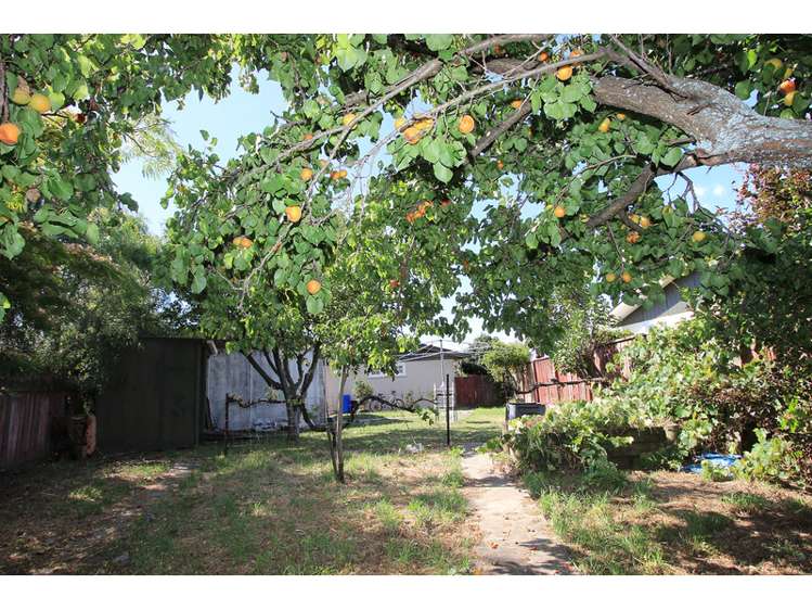 16 Rudd Crescent Redwoodtown_9