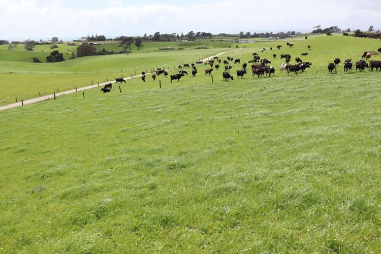 627 Inland North Road Onaero_8