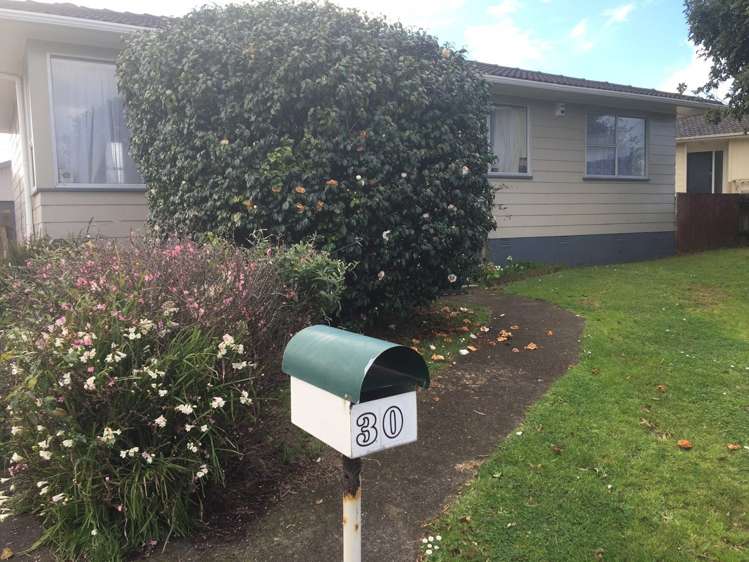 30 Aarts Avenue Manurewa_0