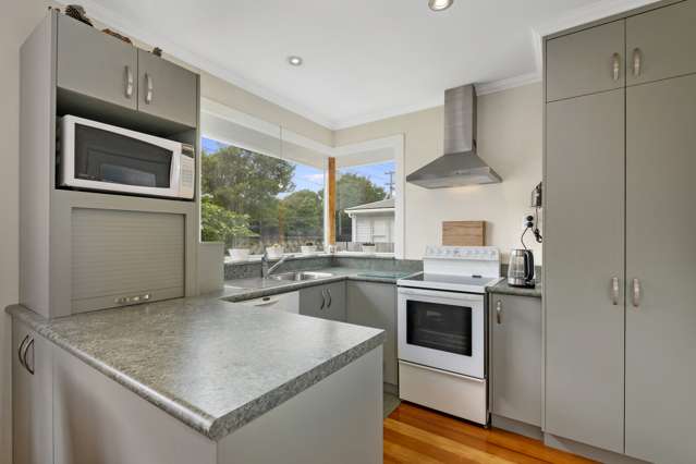 46 Black Beech Street Birchville_2