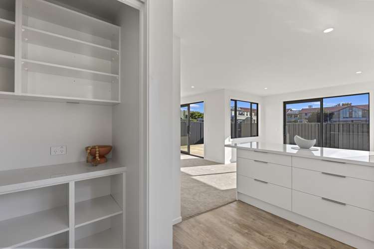 1b Kings Avenue South Dunedin_10