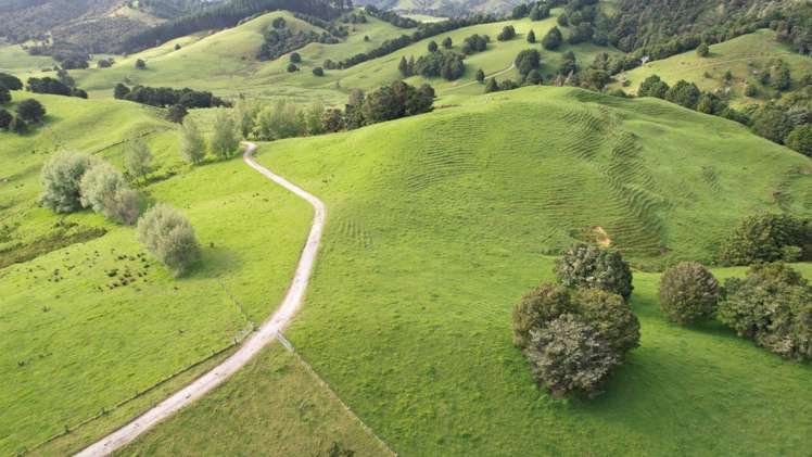 Taylor Road Mangapai and Surrounds_17