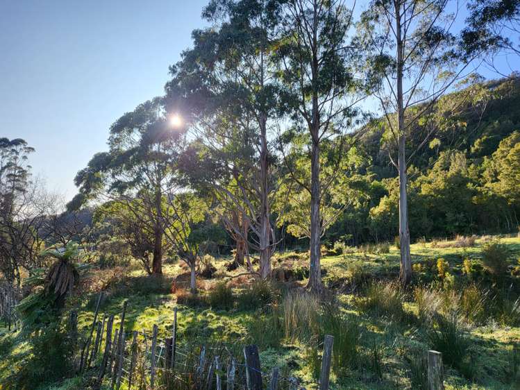 42 Herd Street Dunollie_4