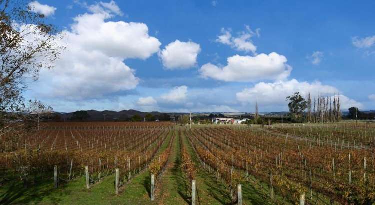 214 Ngatarawa Road Bridge Pa_11