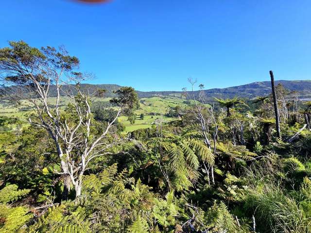 Wekaweka Road Waimamaku_3