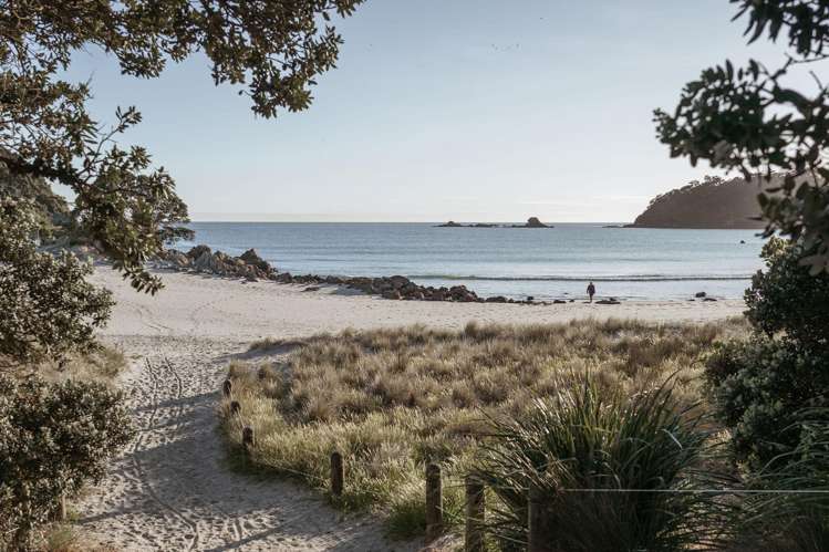 6 Links Avenue Mount Maunganui_10