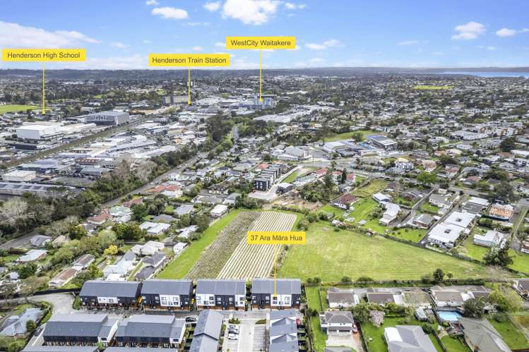 37 Ara Mara Hua Henderson_19