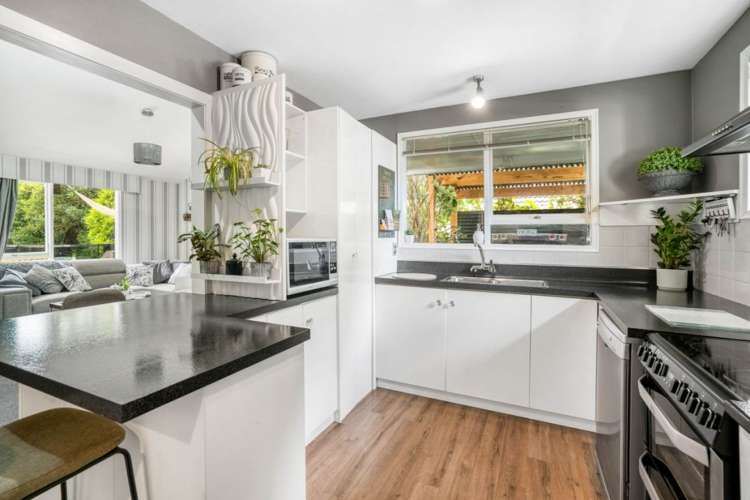 27 Jenkins Avenue Redwood_5