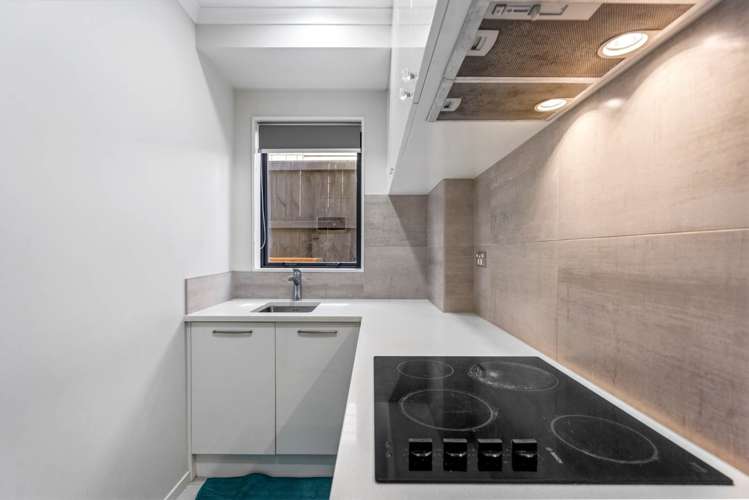 29 Carrygawley Road Flat Bush_20