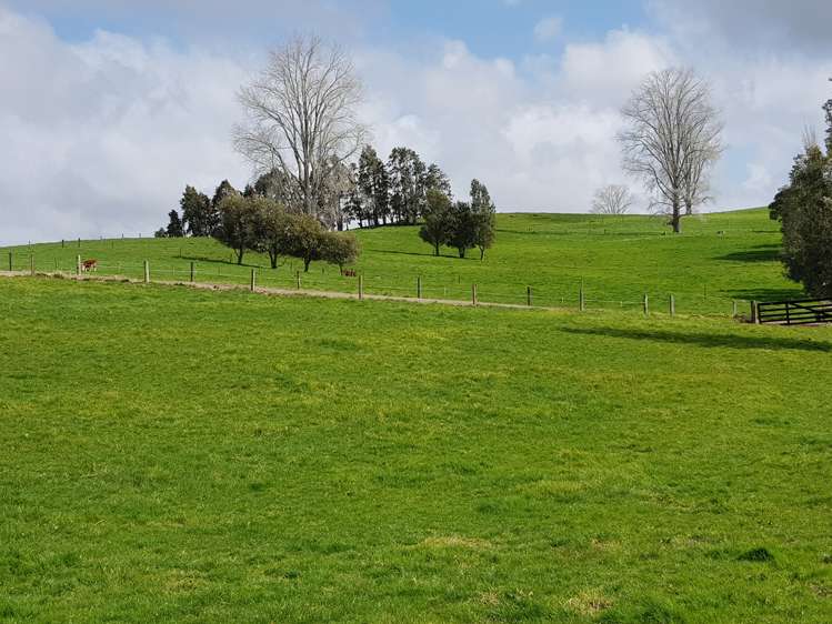 7045 State Highway 1 Pakaraka_0