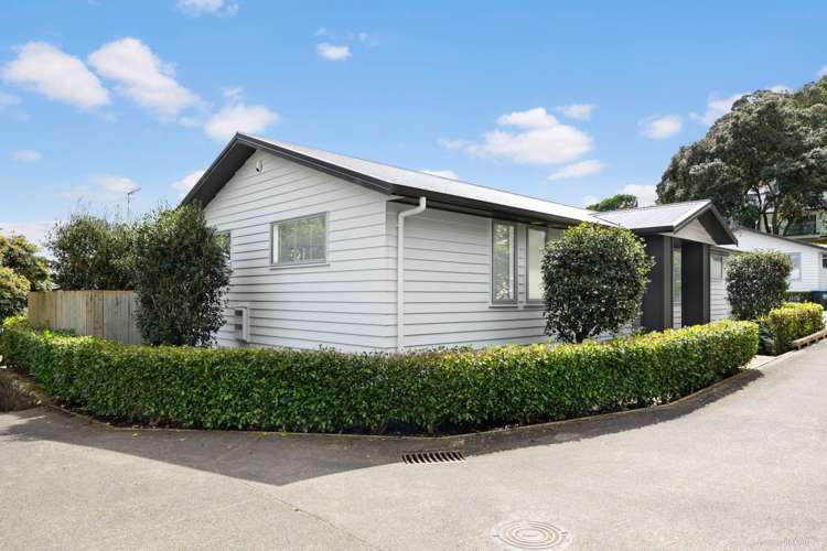 884a Mount Eden Road Three Kings_23