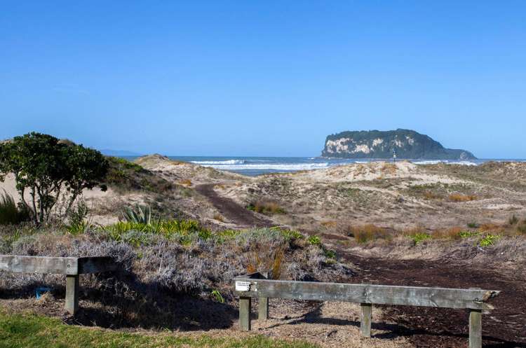 101b Tuck Road Whangamata_32