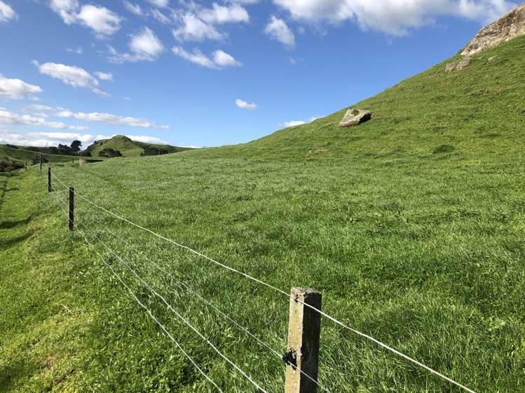 428 Whatauri Road Wharepapa South_9