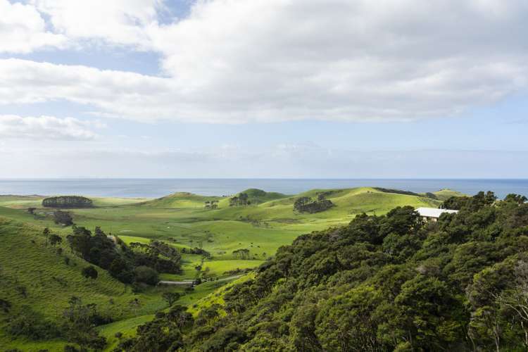 310 Robinson Road Whangarei Heads_20