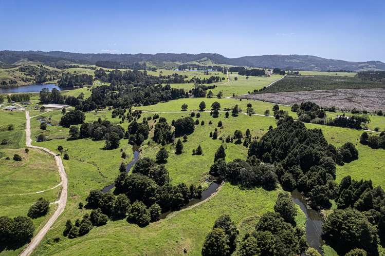 731 Puhipuhi Road Whakapara_39