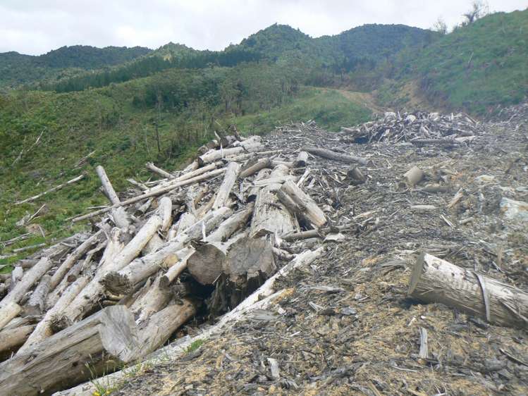 Lot 65 Stoney Creek Road Mangamuka_10