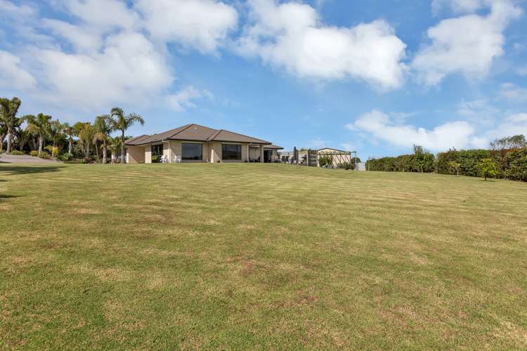 893 Three Mile Bush Road Ruatangata_17