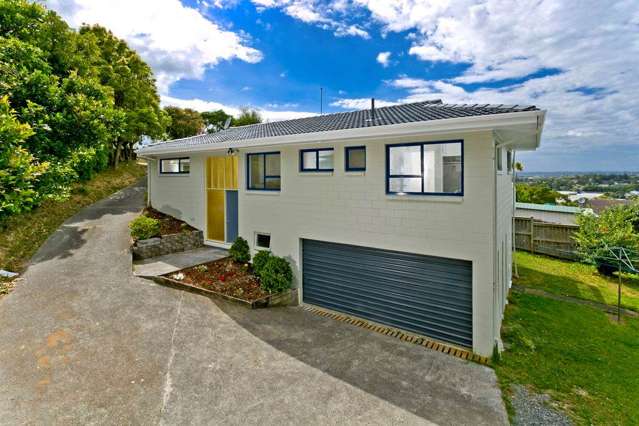 1/23a Target Road Totara Vale_1