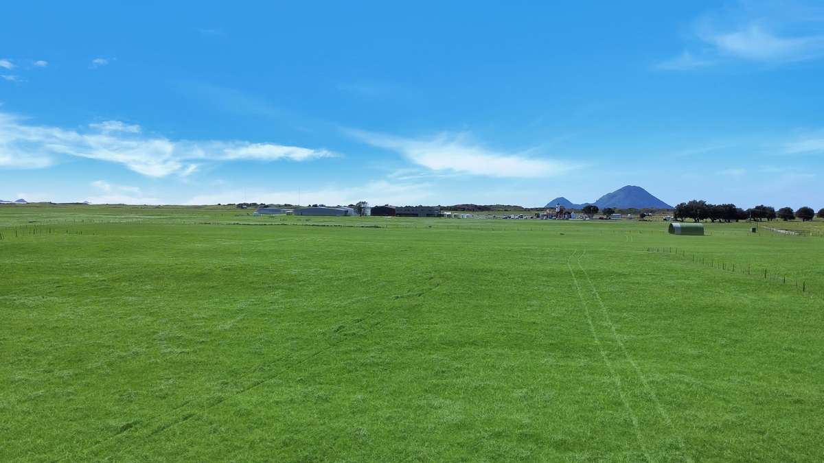 203A Aerodrome Road_3