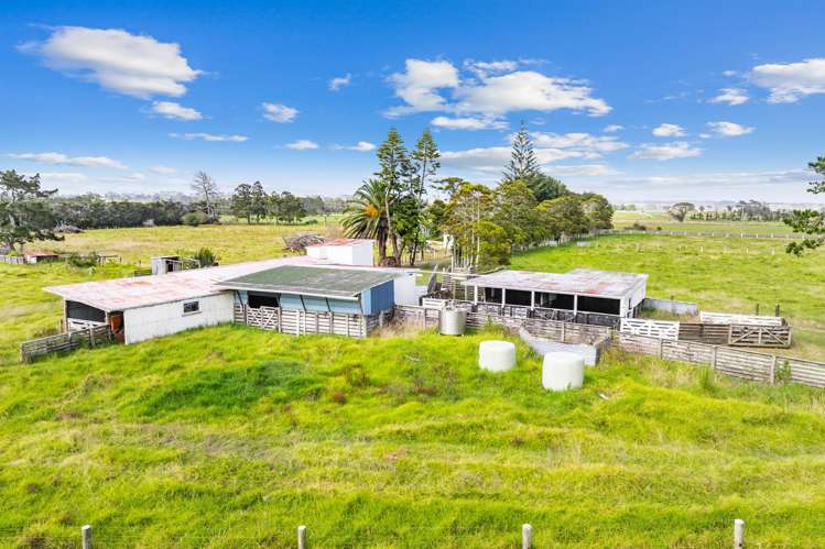 1091 Pouto Road Dargaville_23