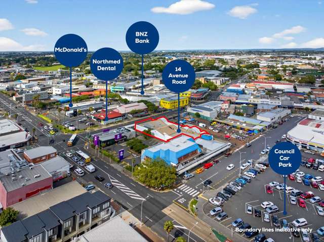 14 Avenue Road Otahuhu_1
