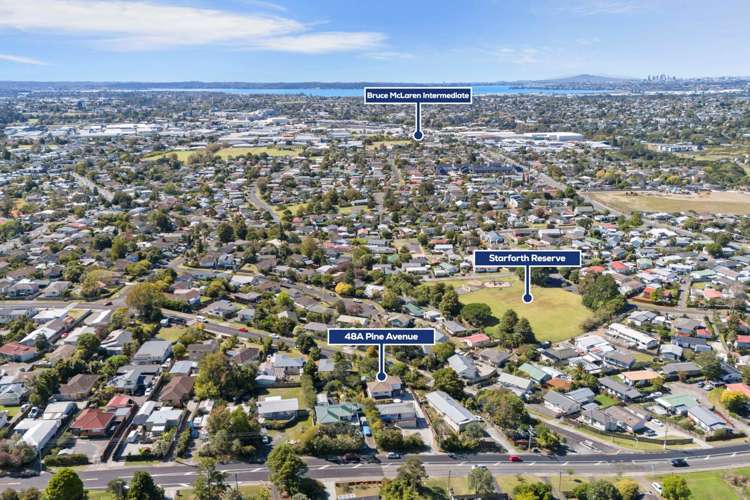 48a Pine Avenue Henderson_21