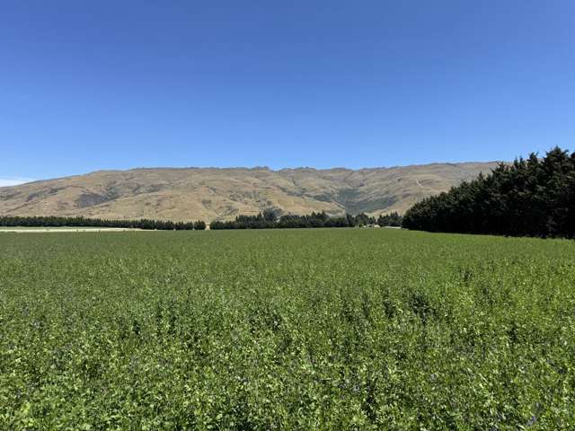 626 Gladbrook Road Middlemarch_2