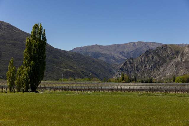 Lot 1/172 Gibbston Back Road Gibbston_3