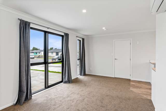 115 Hinemoa Street Levin_4