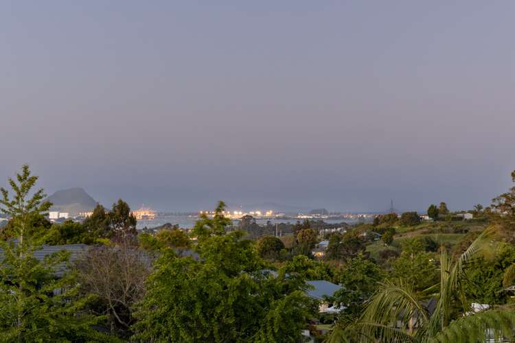 23 Visko Way Ohauiti_5