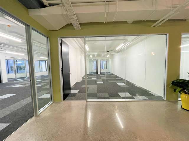 Level 2, 110 Symonds Street Grafton_3