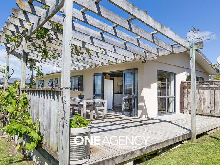 20 Te Hiko Street Takapuwahia_0