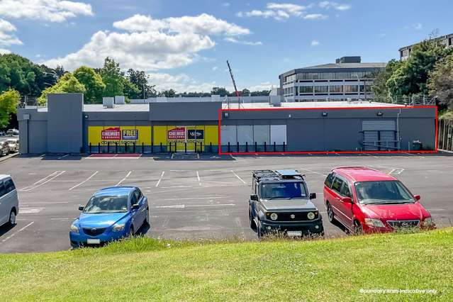 Unit 2/10-12 Ratanui Street Henderson_2