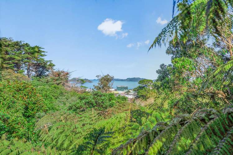 38 Stanhope Grove Korokoro_5