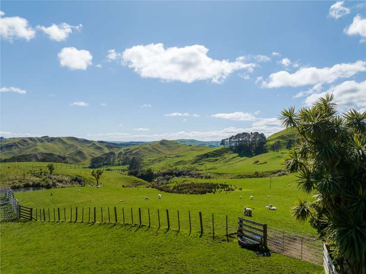 45 Te Akau Coast Road Te Akau_28