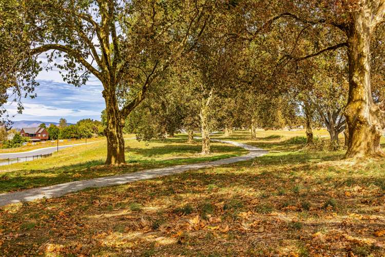 17 Morrin Street Morrinsville_3