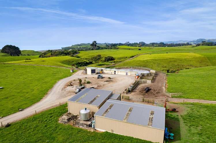 78a Waitoetoe Road Mimi_7