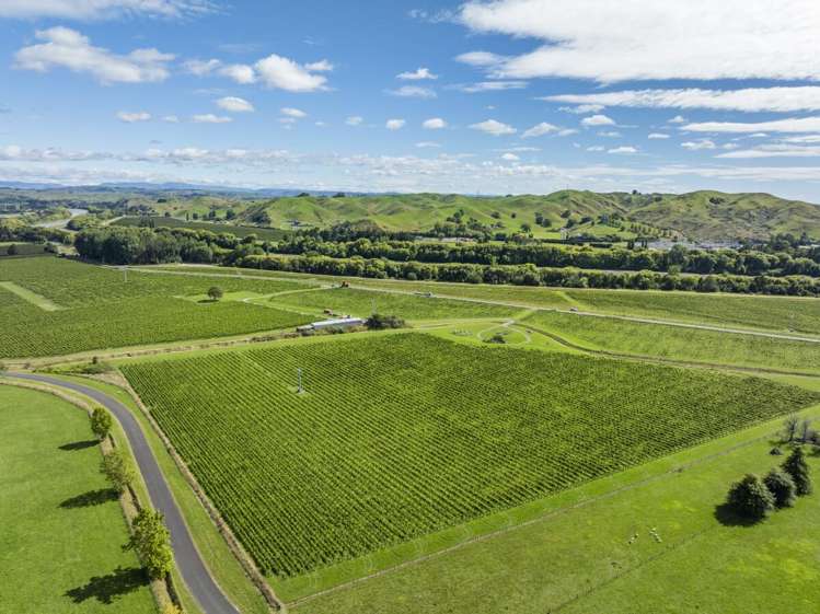 1905 Matapiro Road Crownthorpe_23