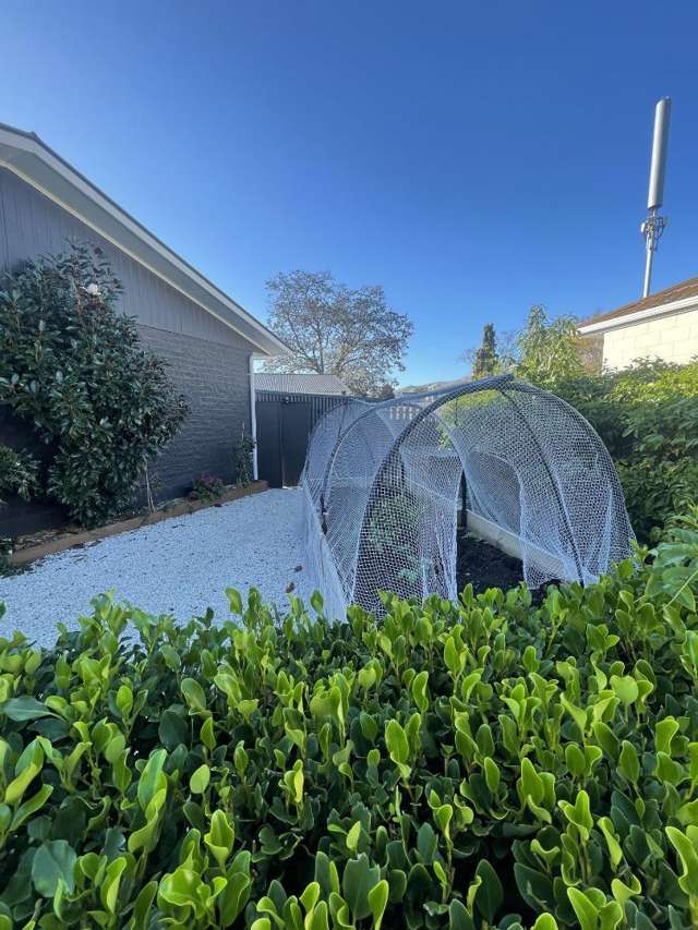 9 Eva Crescent Witherlea_3