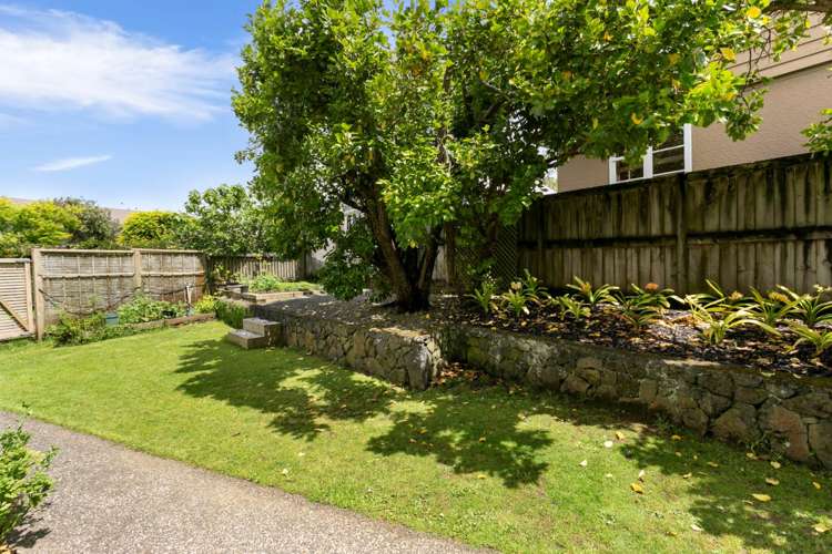 141b Coates Avenue Orakei_7