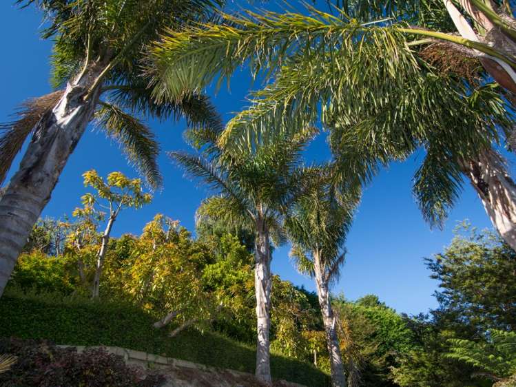 4 Valhalla Lane Richmond_22