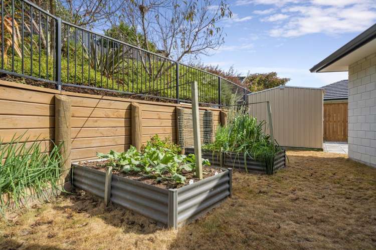 15 Shoreview Close Omokoroa_19