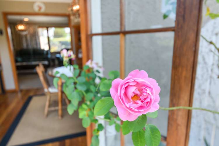 290 Grey Street Palmerston North Central_17