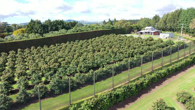 14 Merrick Road Pyes Pa_22