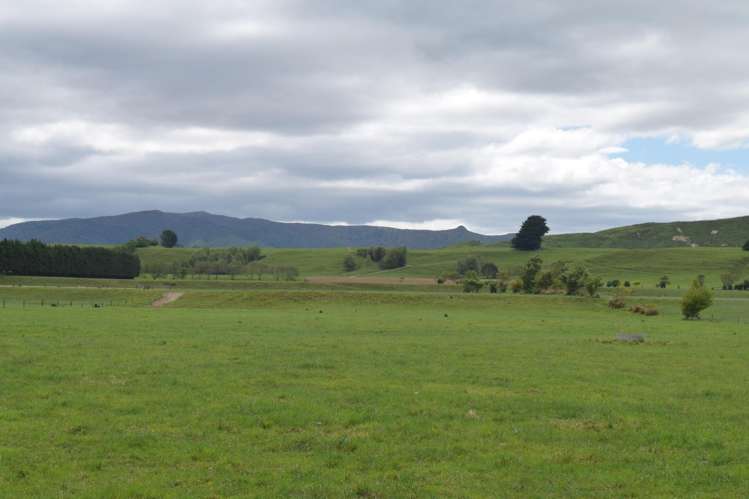 434 Pukehoi Road Eketahuna_12