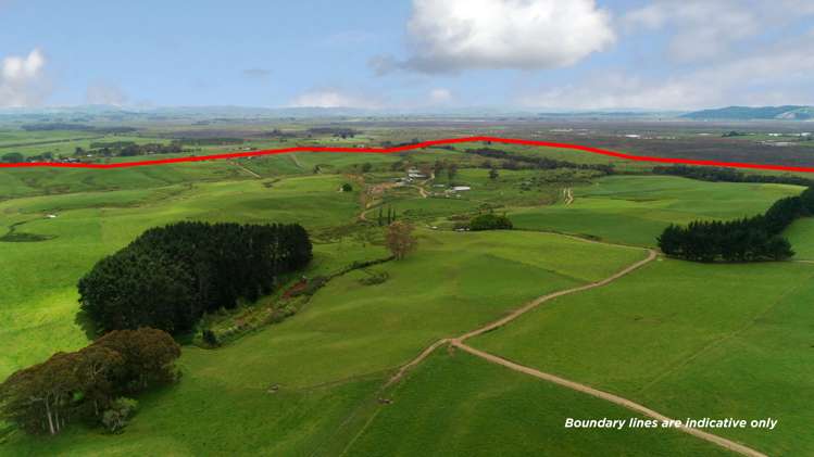 44 Black Road Te Kauwhata_3