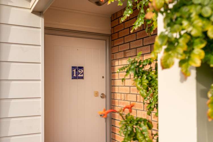 12/25 Tacy Street Kilbirnie_12