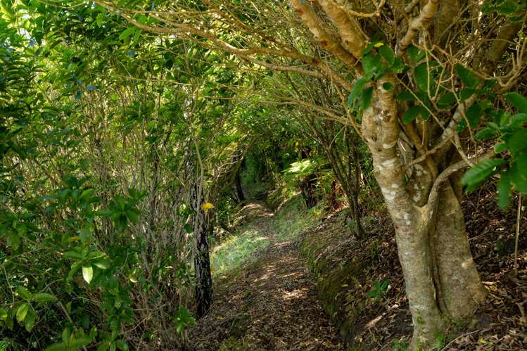 177 Riwaka-Sandy Bay Road Riwaka_28